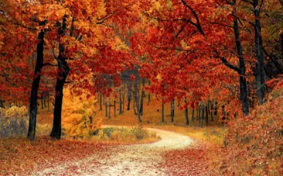 Autumn Fantasy – What Will Yours Be?